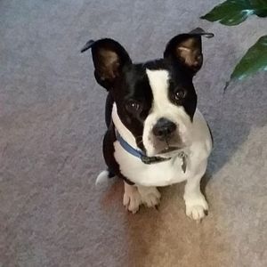 Meet your Posher, Beverly